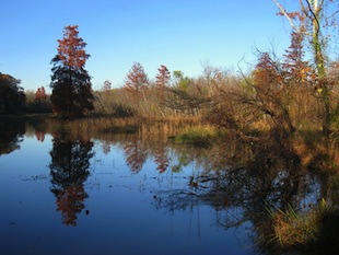 Theodore Roosevelt Island